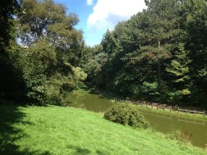 natuur in Noord-Brabant